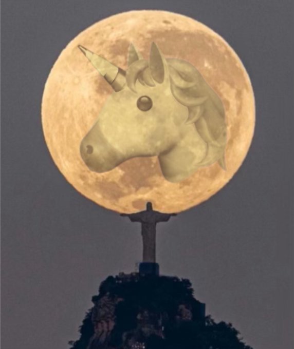 Andrex🦄 tweet media