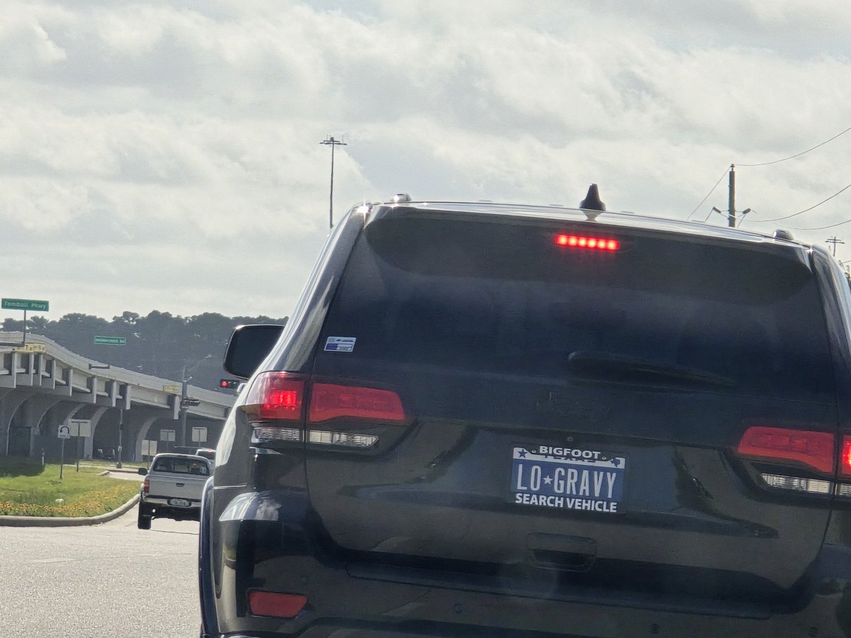 Josh Tree tweet media