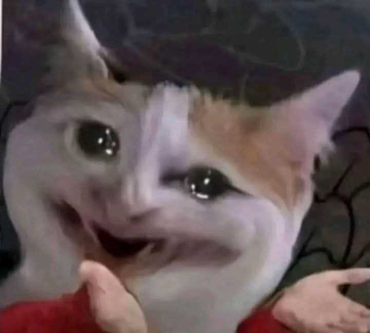 درت كعك حلو يوم الكبيرة ، جاء لو نطلقه في راس حد نفجخه بيه و ما تنكسر الكعكة🤭🤡