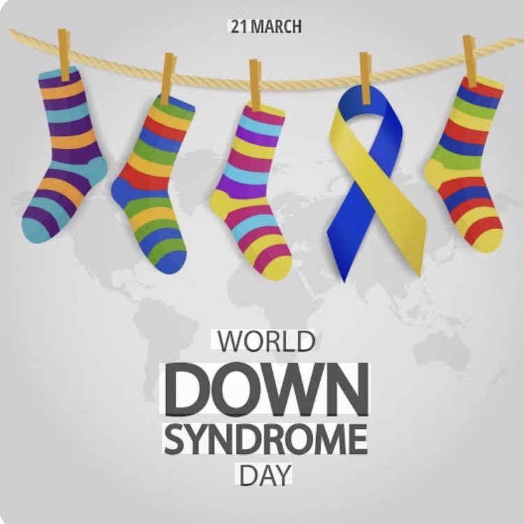 Dr. David Bruno tweet media