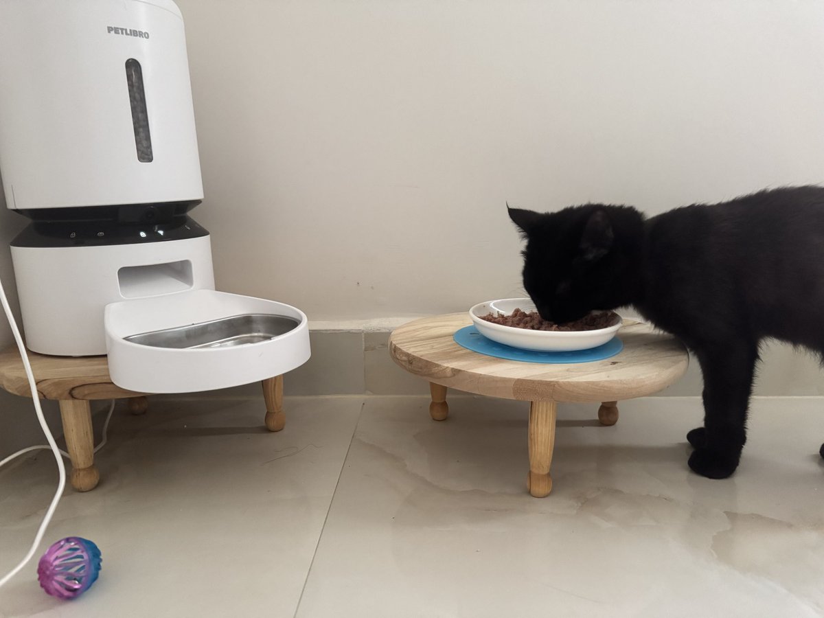 سُ سُ tweet media