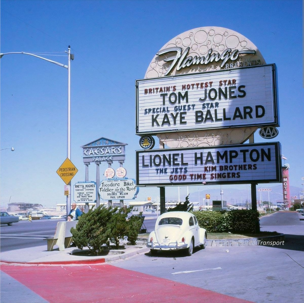 _GrandpaD__Old School Vegas✨ tweet media