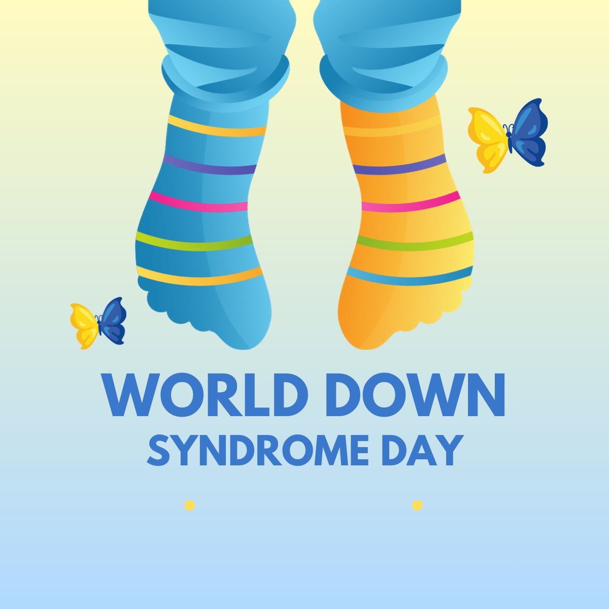 SCOON ORGANISATION tweet media