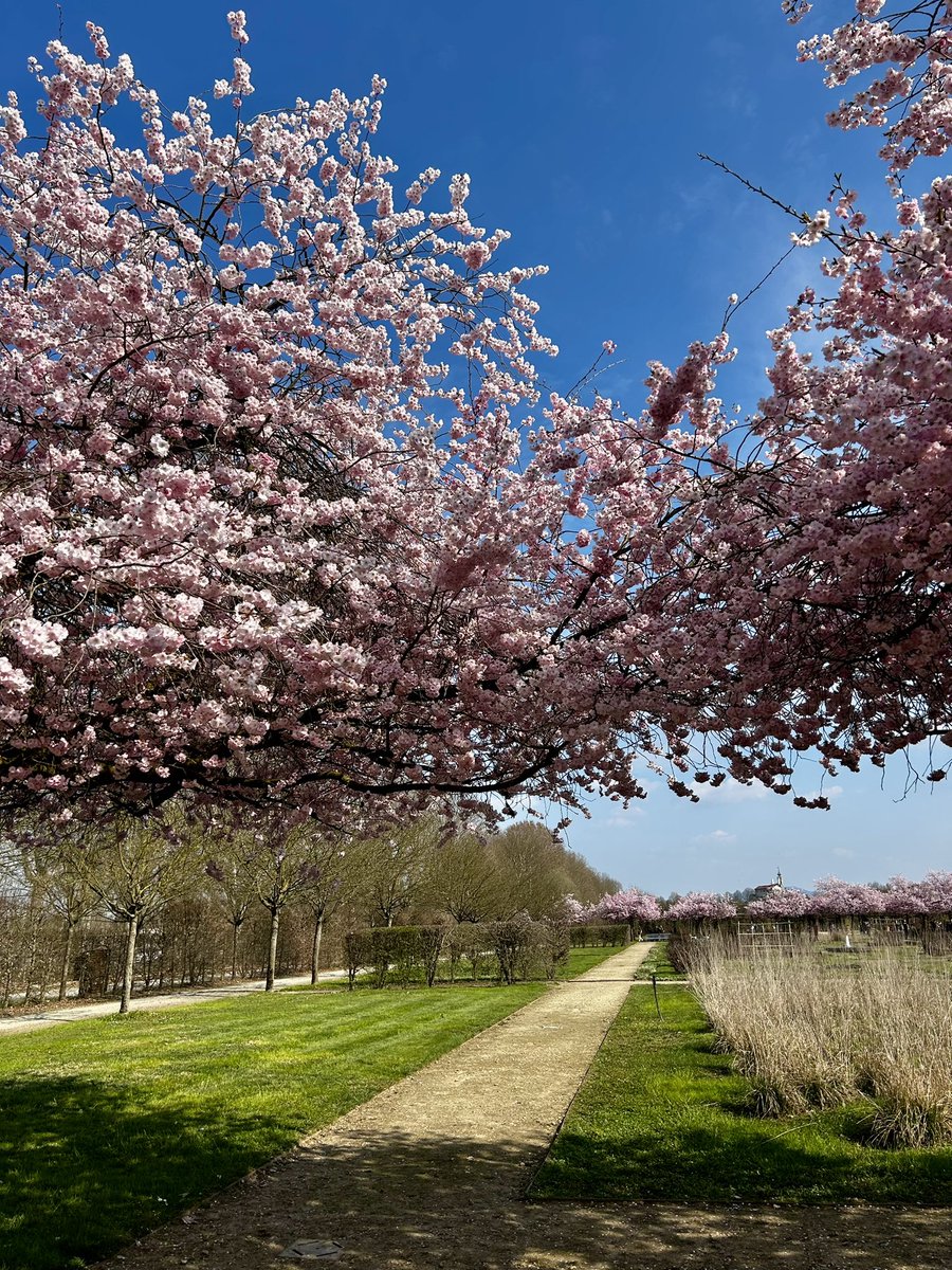 marisabaretti tweet media