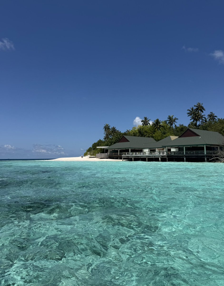 dieguito tweet media