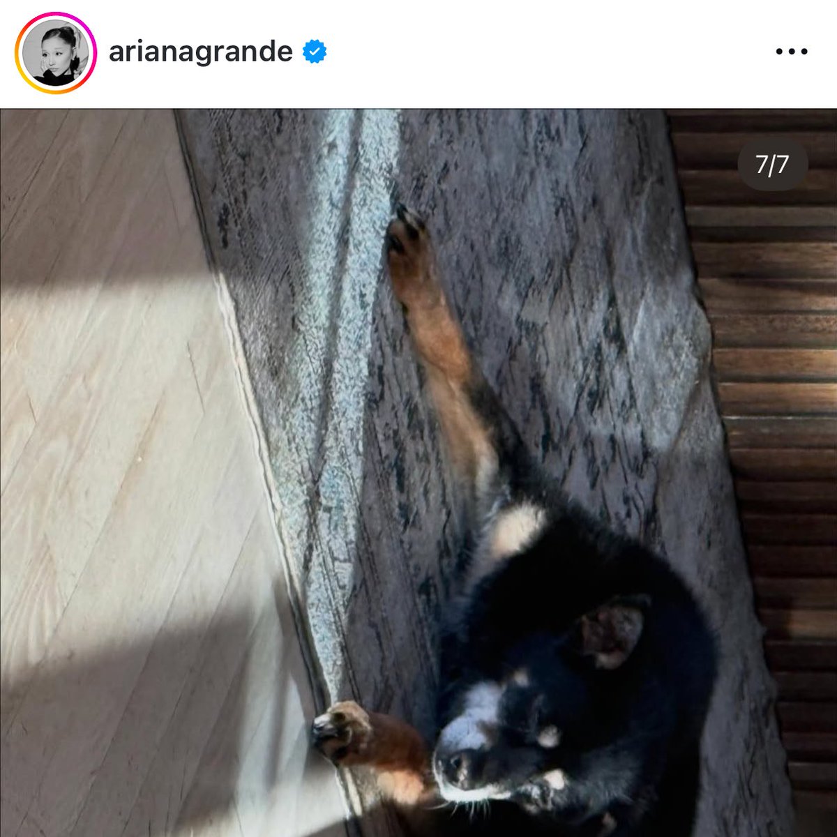 arianators wildin tweet media