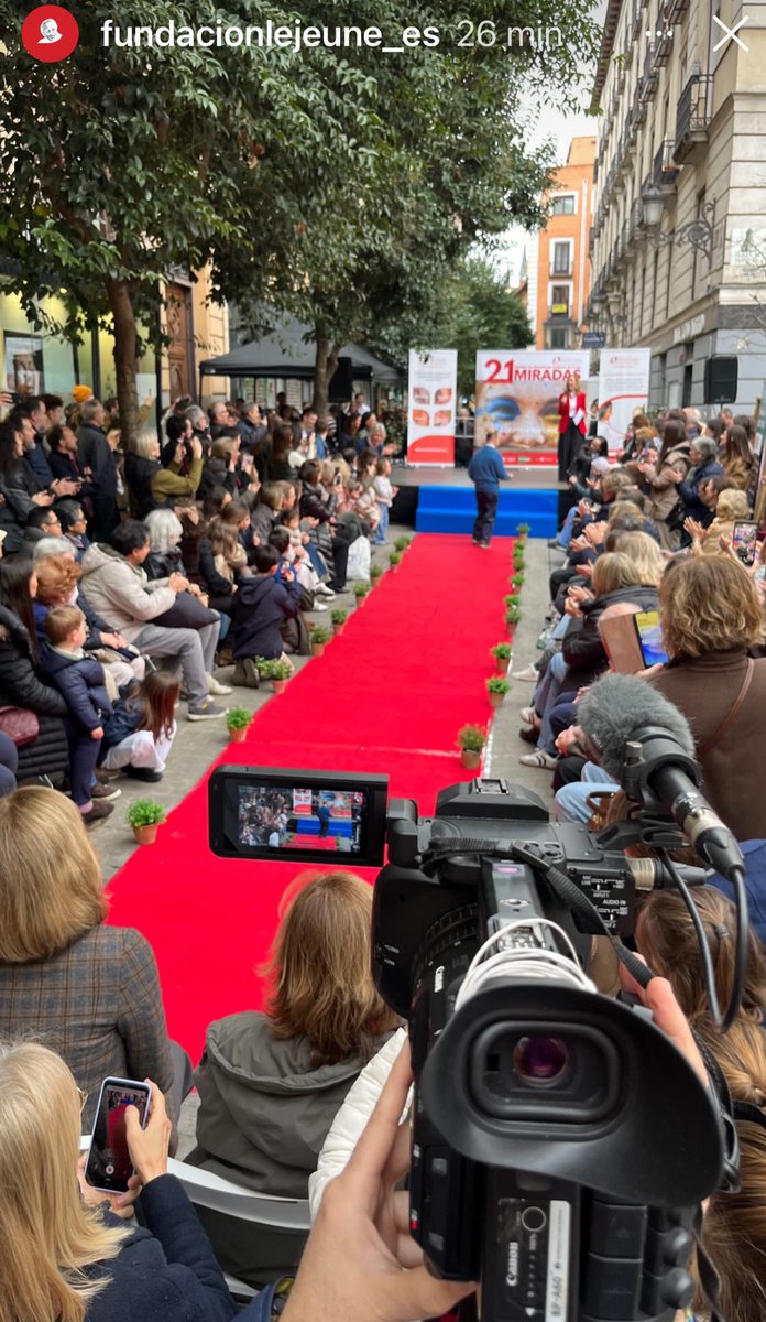 Elena Postigo tweet media