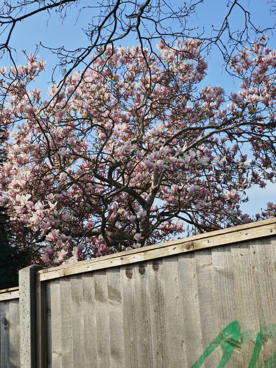 Panagiotis Moutafidis tweet media