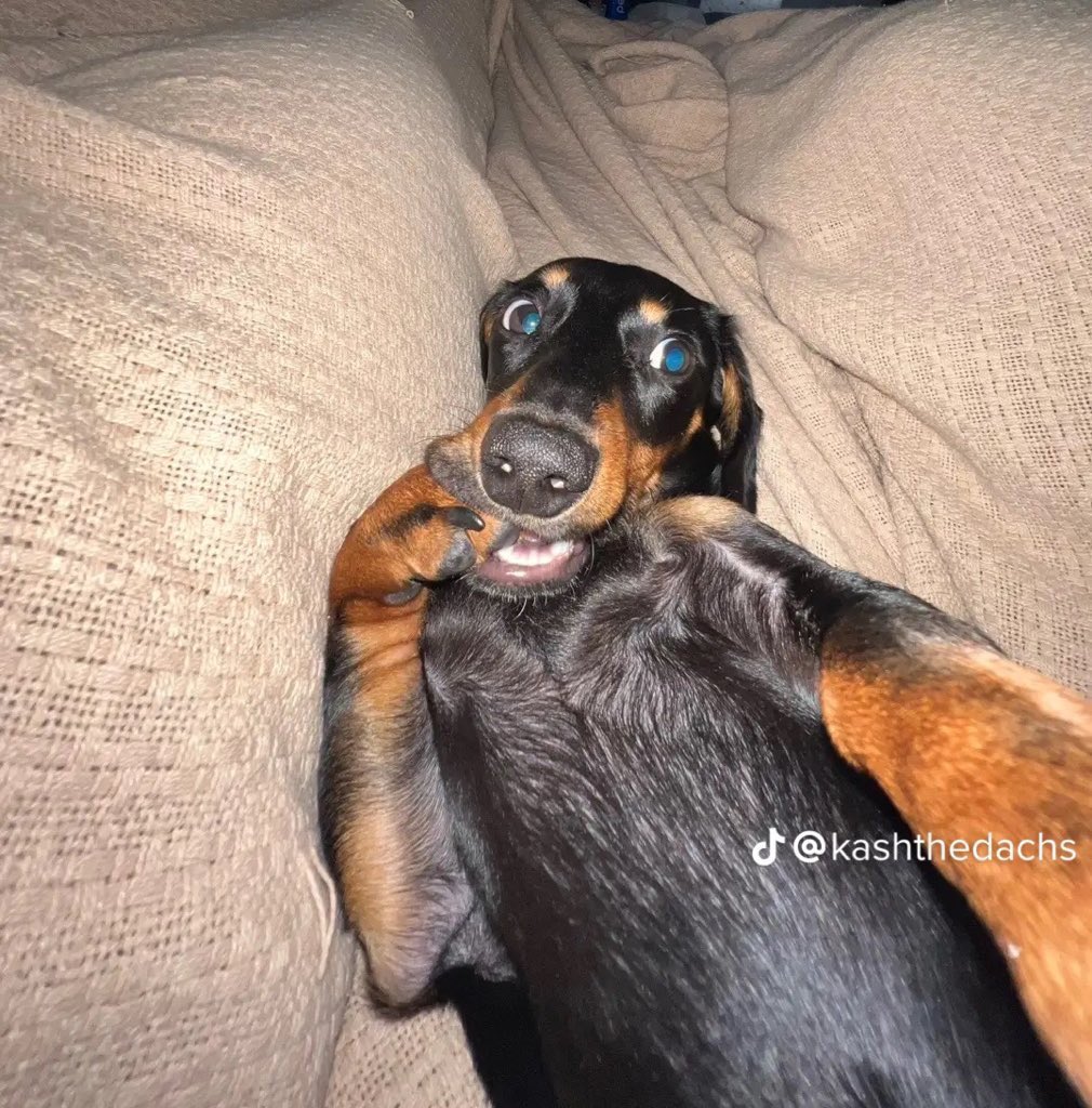 MANILLÊ tweet media