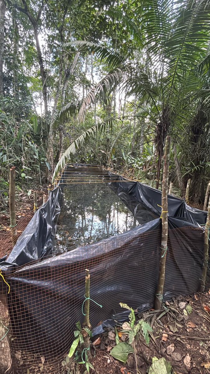 Fuerzas Armadas del Ecuador tweet media