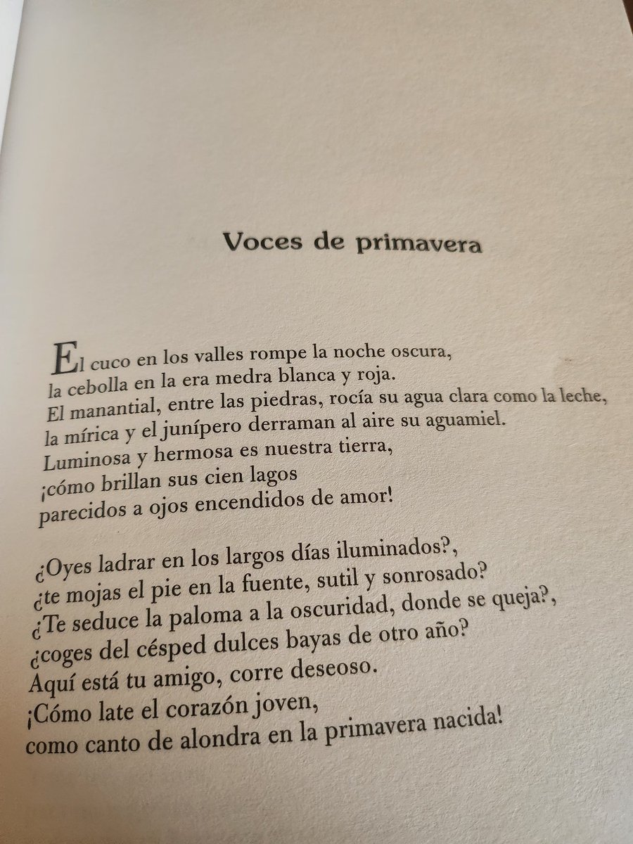 Jesús Sánchez tweet media