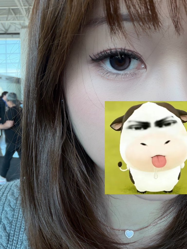 我明天不想说话（读研发疯版） tweet media