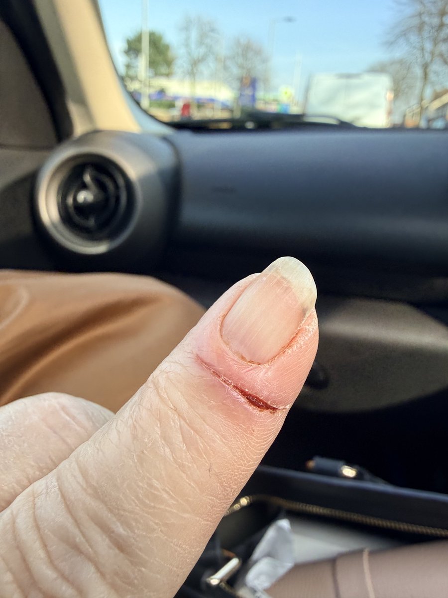 Susan Irvine Russam tweet media