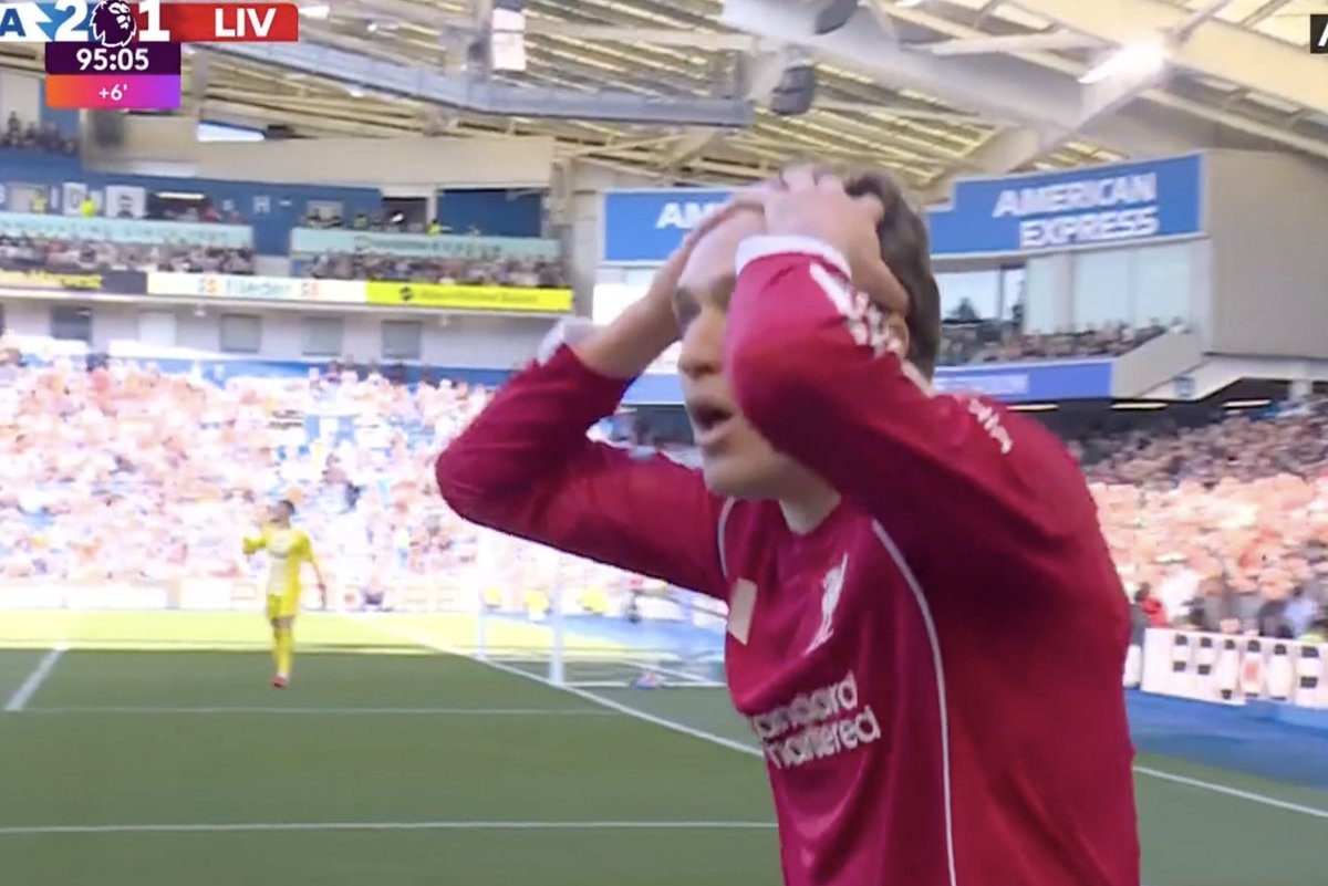 Brighton Türkiye tweet media