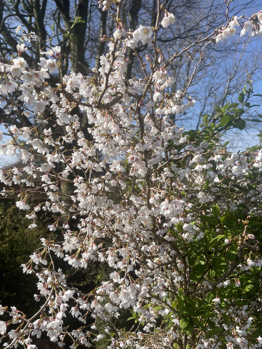 Gillian Higham tweet media