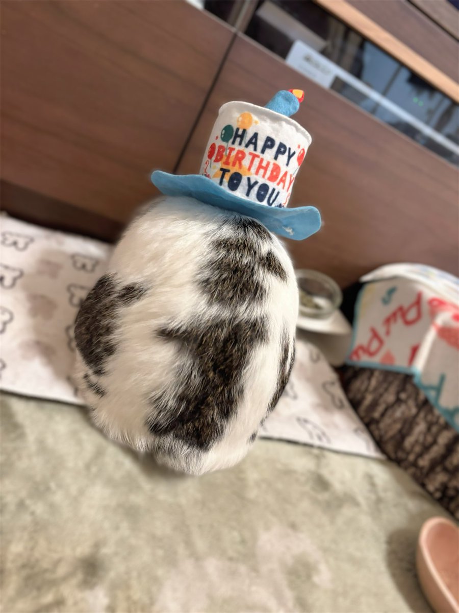 おかやん tweet media