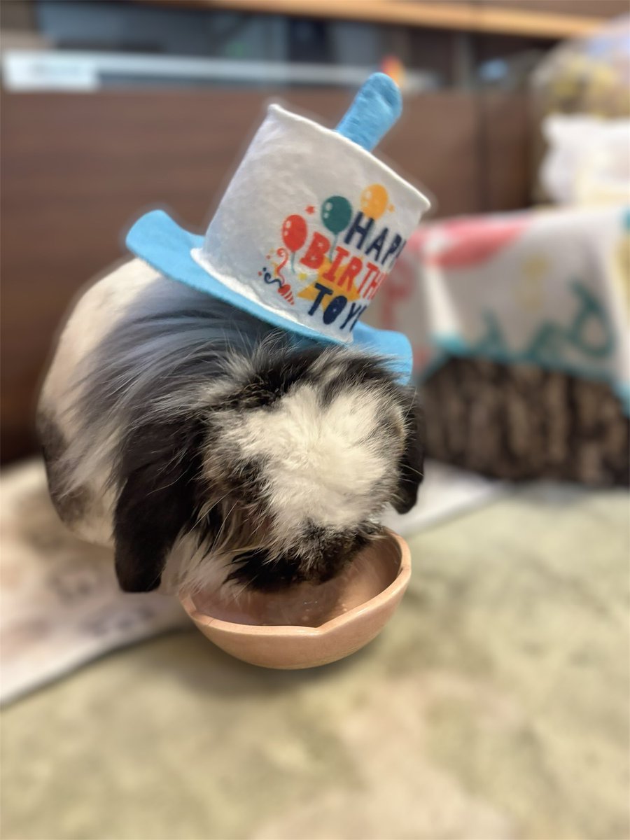 おかやん tweet media