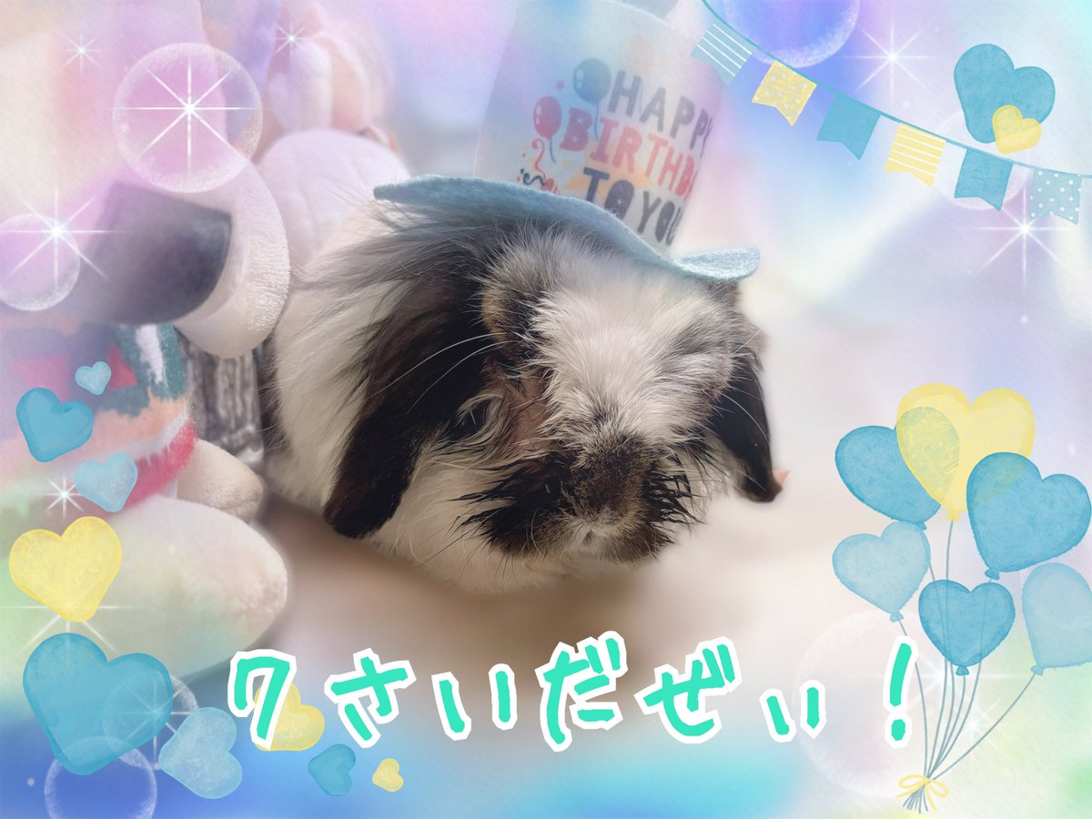 おかやん tweet media