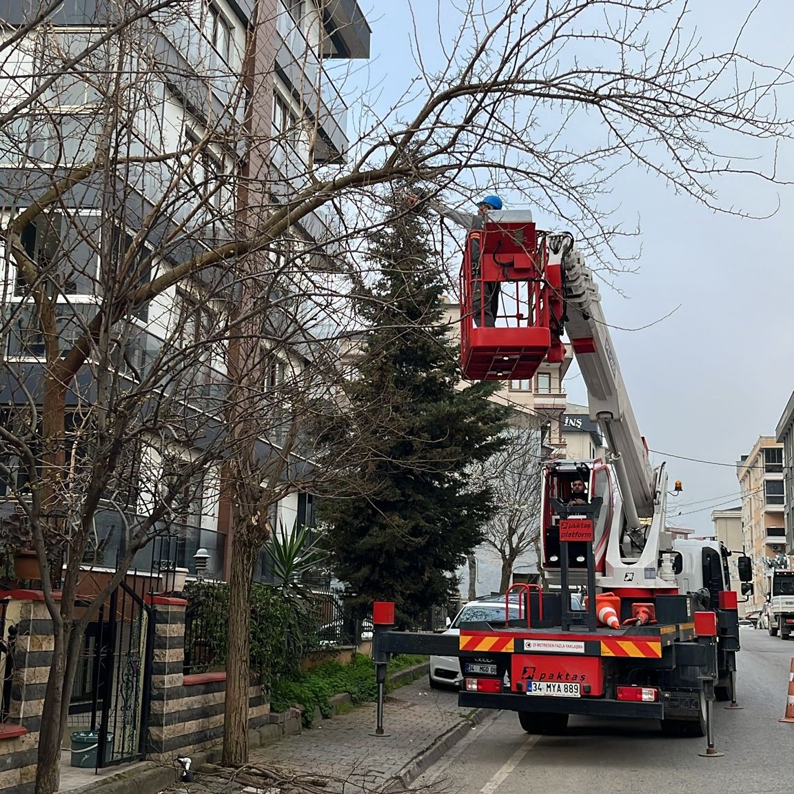 Cekmekoybeltr's tweet photo. Ağaç budama çalışmalarımıza Çekmeköy’ün dört bir yanında aralıksız devam ediyoruz.

Komşularımızdan gelen talepler doğrultusunda gerçekleştirdiğimiz budama çalışmalarıyla; ağaçlarımızın daha sağlıklı büyümesini sağlıyor, parklarımızı ve sokaklarımızı daha güvenli ve düzenli hale getiriyoruz.

Daha yeşil, daha bakımlı ve daha yaşanabilir bir Çekmeköy için var gücümüzle çalışmayı sürdürüyoruz.