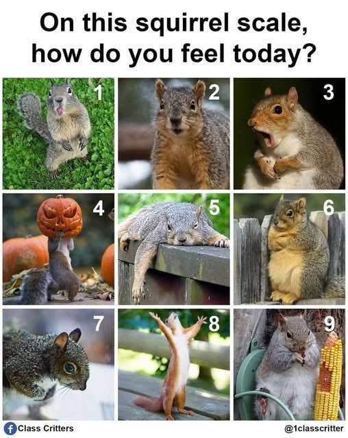 Eric Emeritus tweet media