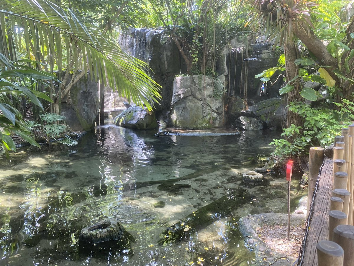 Safari Mike tweet media