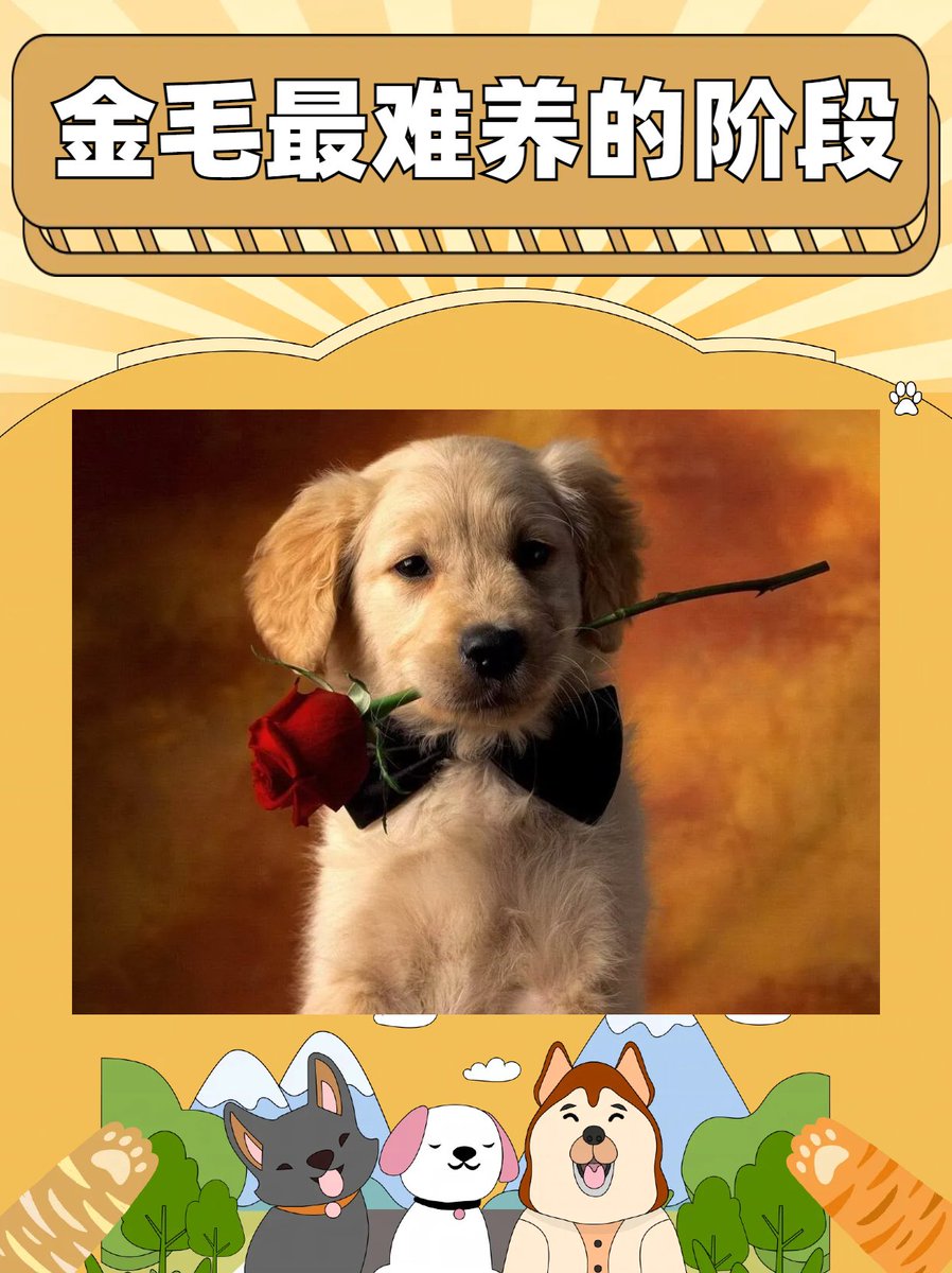 Raunak Kumar Jha tweet media