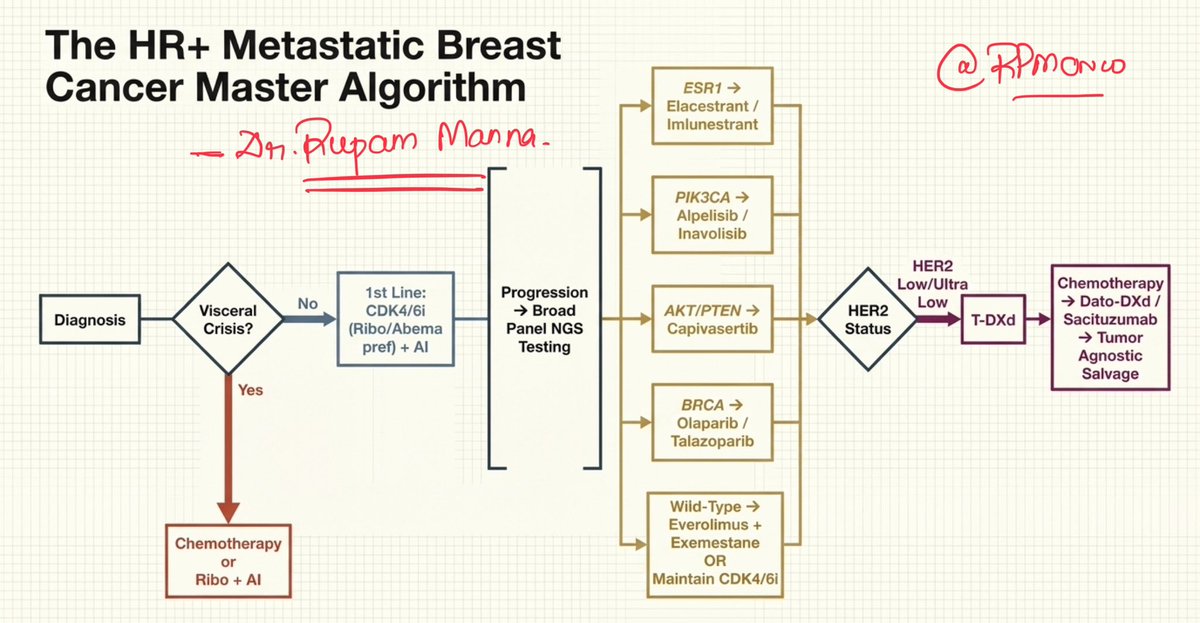 DrRupamOncology's tweet photo. HR + Mets Breast Cancer current alogorithm
#drRupam
#MedOnco https://t.co/riuXC5I9AP