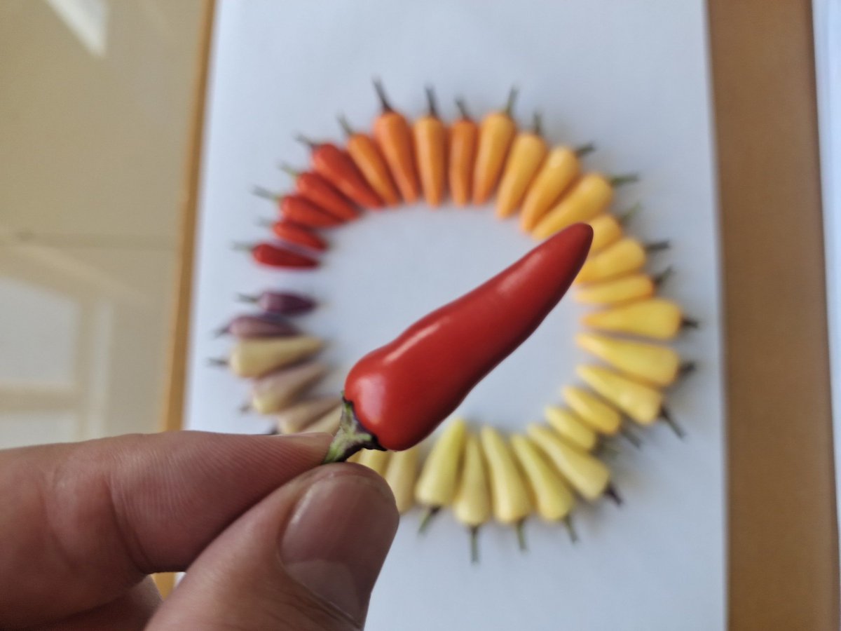 Надежда tweet media