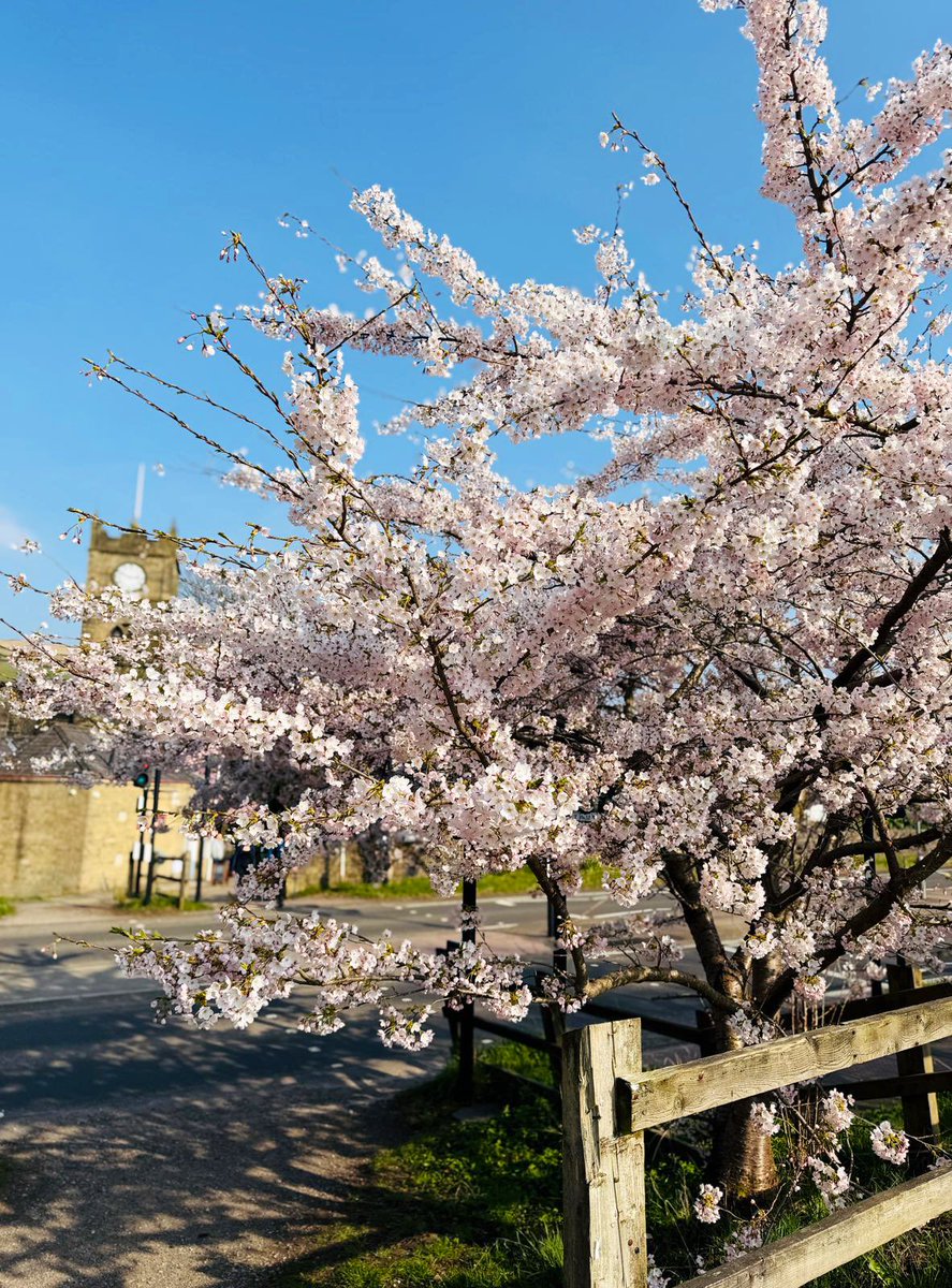 Michael Broomhead tweet media