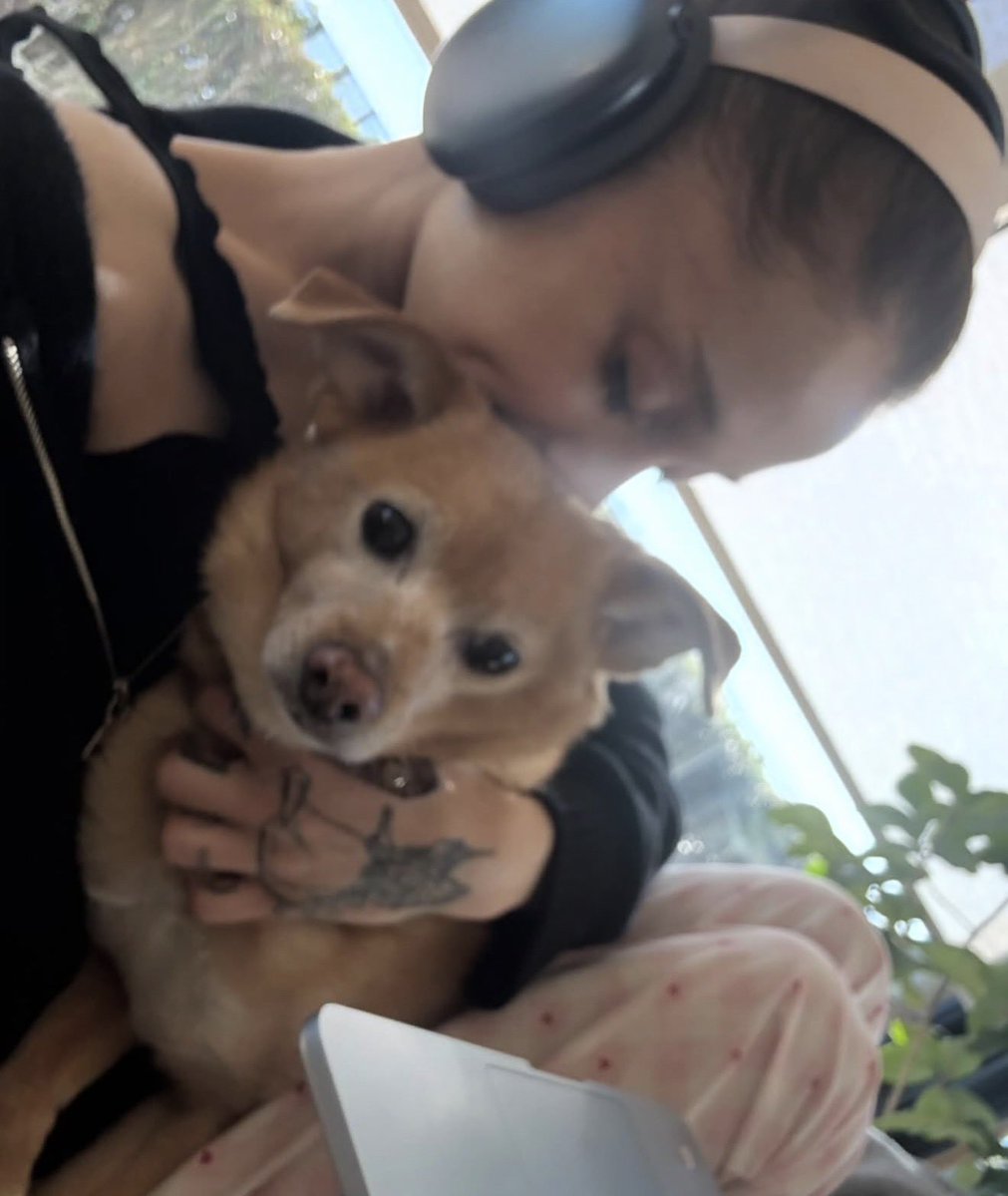 Ariana Grande Brasil tweet media