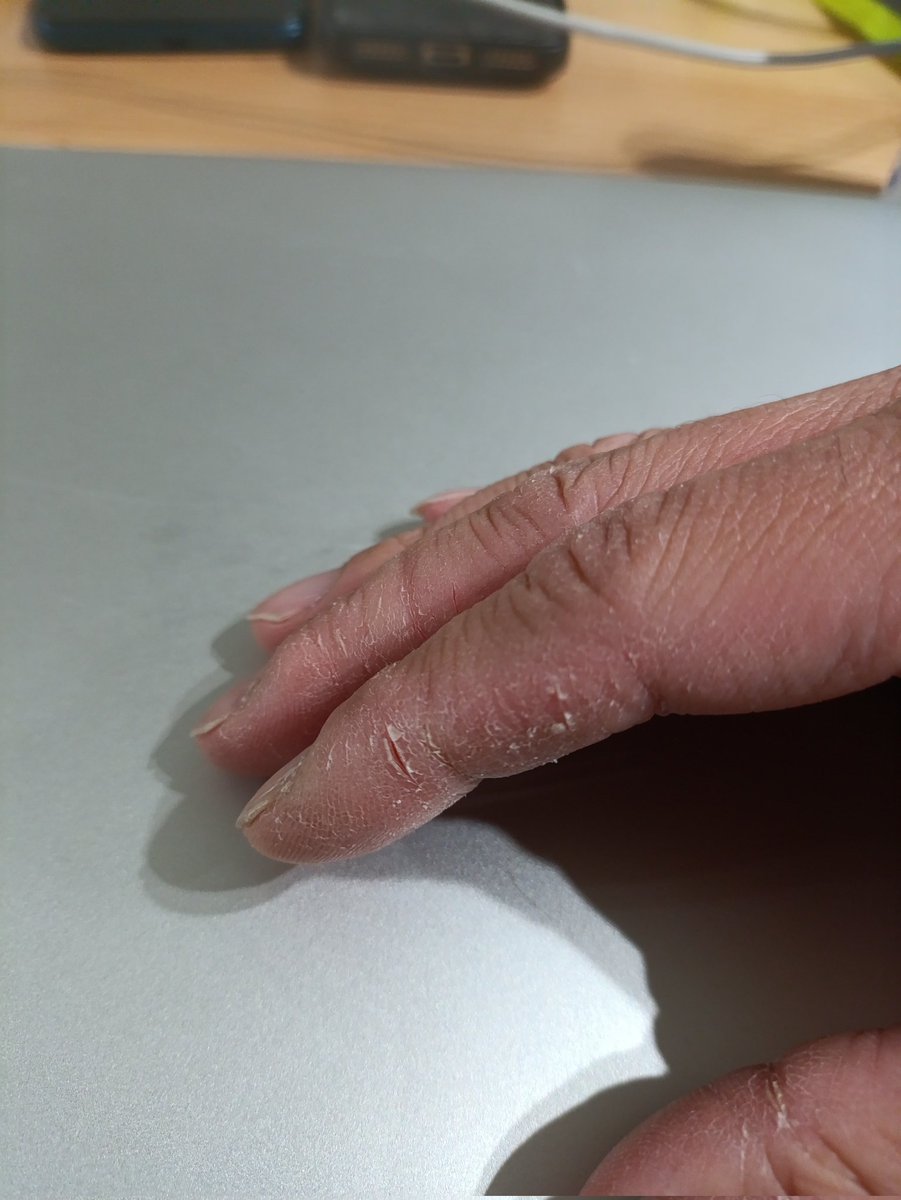 ひろいりふね / ろあん tweet media