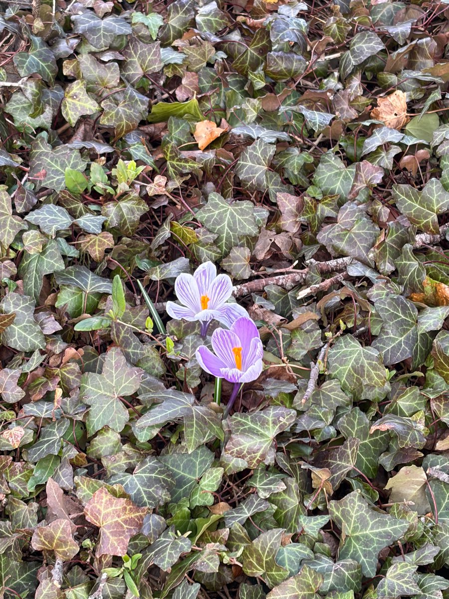 William Smith tweet media