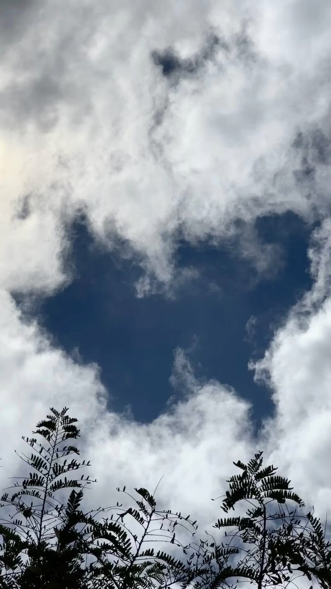 jennifer rivero tweet media