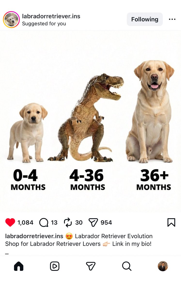 Pokrath Hansasuta tweet media