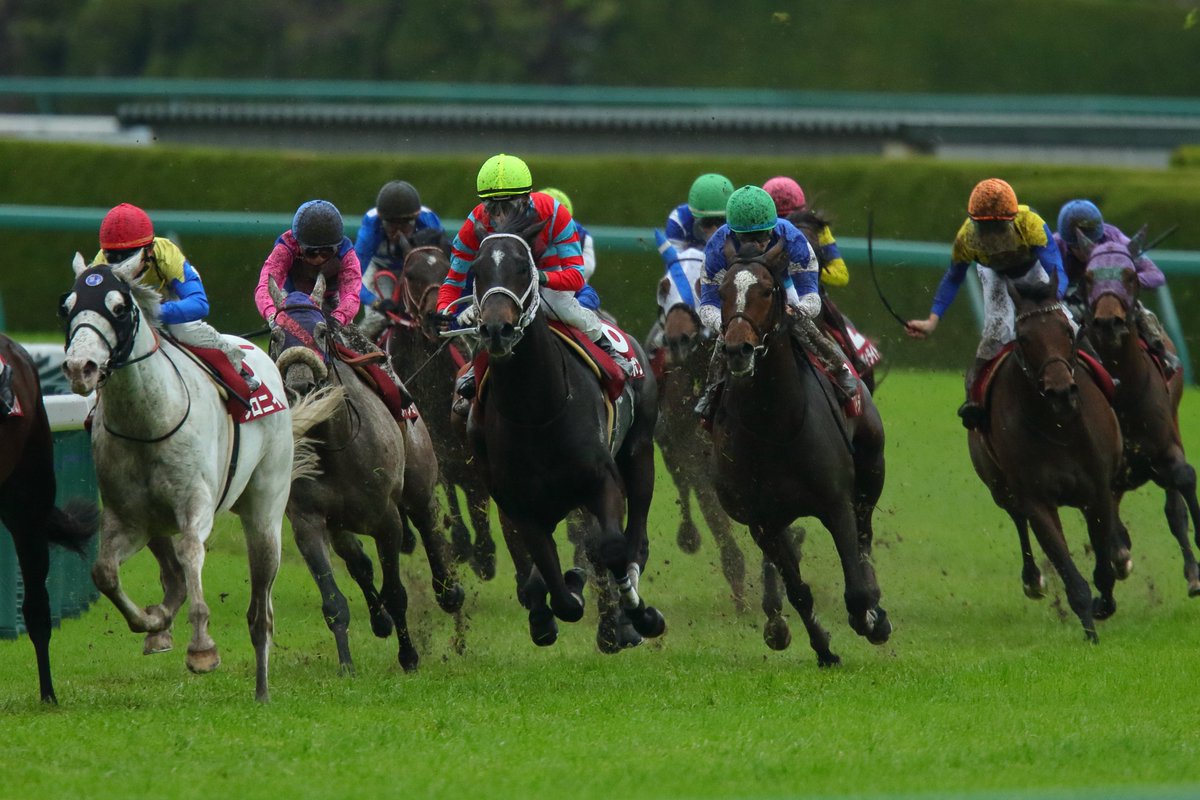 Yukiyoshi Hiramura tweet media