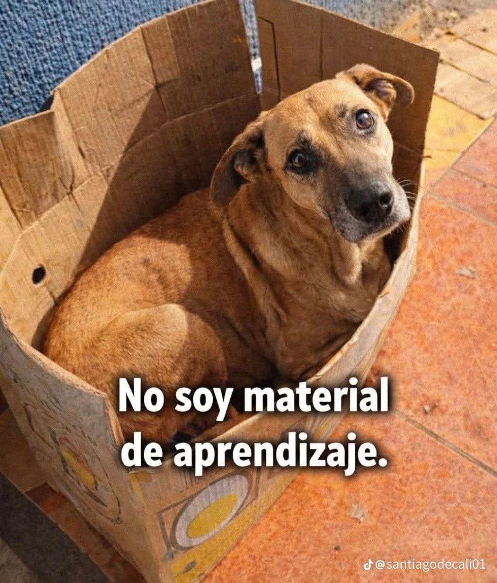 𝕭𝖗𝖊𝖓𝖓🖤🤍 tweet media