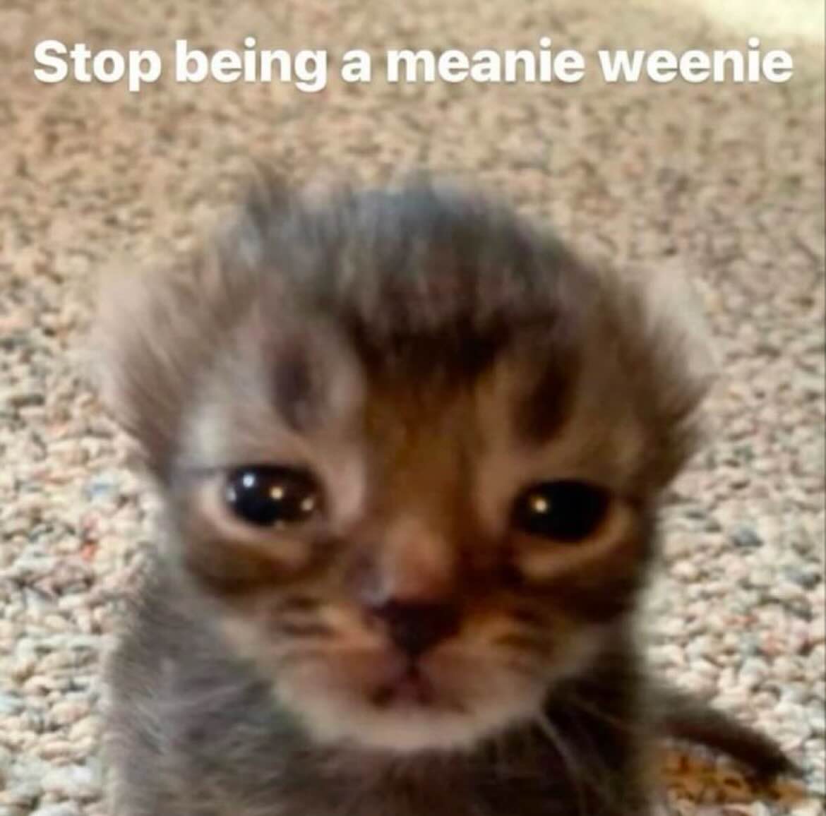 𝒛𝑲𝒓𝒆𝒆𝒅👑🦋 tweet media