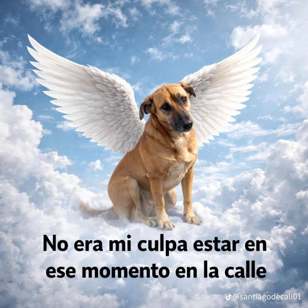 𝕭𝖗𝖊𝖓𝖓🖤🤍 tweet media