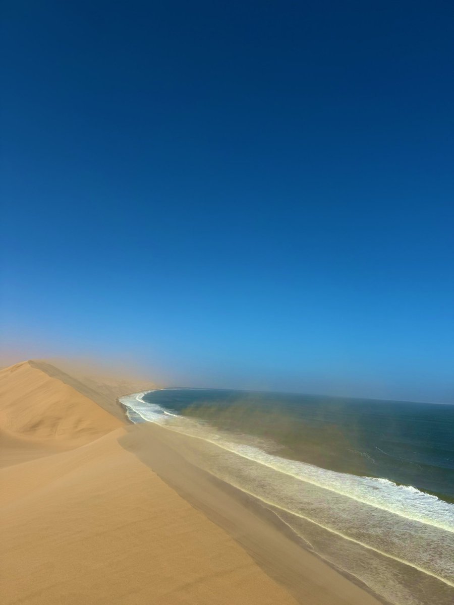 Nilotic 👑🇸🇸 tweet media