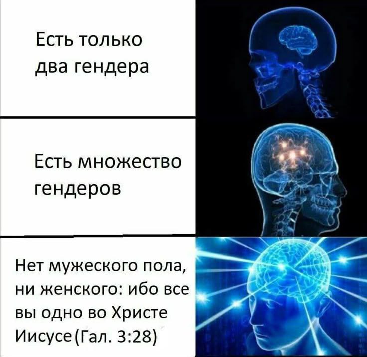 Вулик tweet media