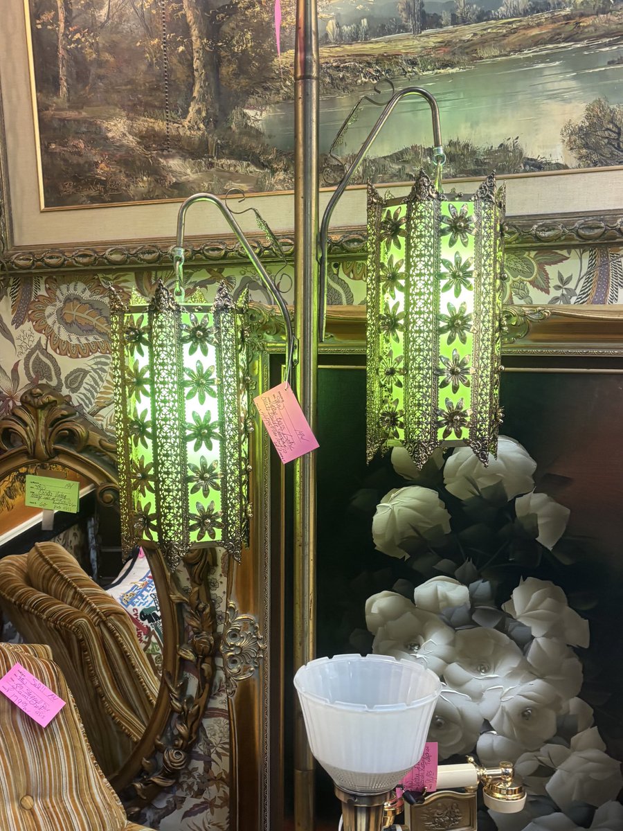 ridley ⚧︎ (#1 emory kisser)🐍🌵 tweet media