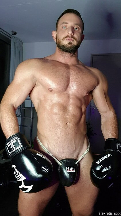 MatureBoxer tweet media