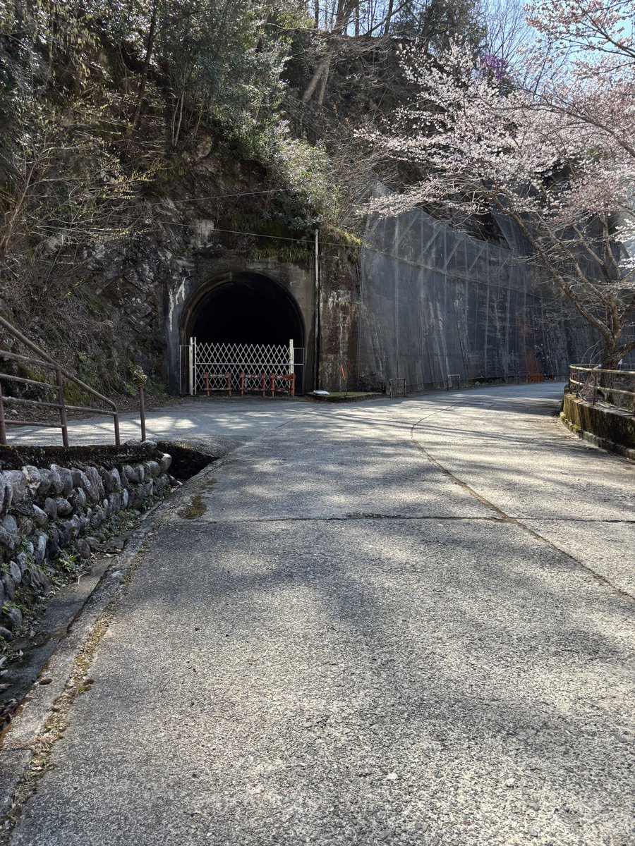 yabyou_yy's tweet photo. 佐久間電力館下の廃トンネル

坑口脇の露頭を確認すると天竜川側から見て受盤となっている。
左岸側は急峻で、右岸側は比較的緩やかな斜面だったそうだが、このような地質も影響していたのだろうか。

ダムの基礎岩盤は花崗岩らしいが、この岩盤はまた違う岩種ではないか。 https://t.co/3BzEnfQl7o