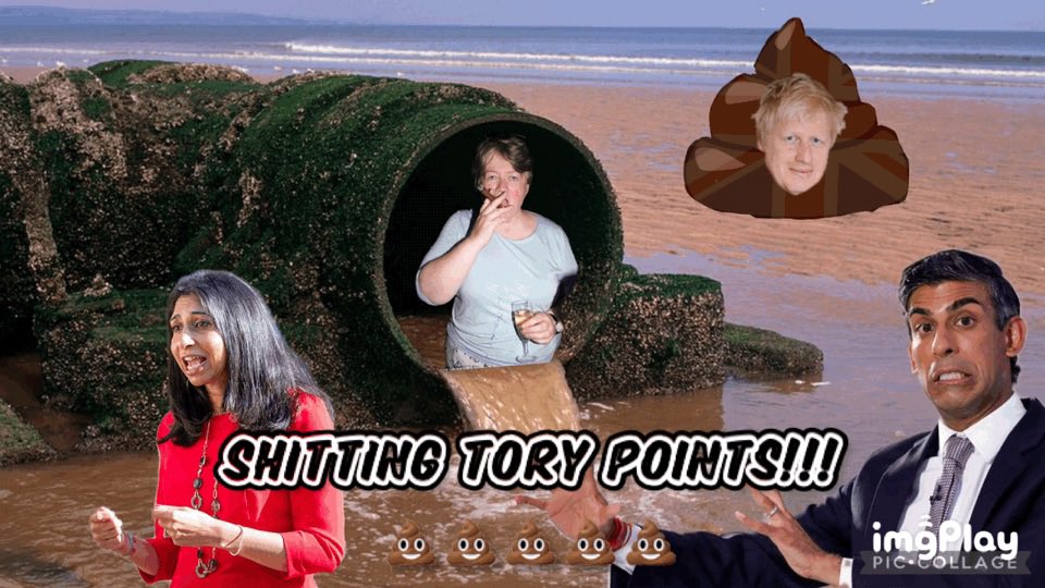 Fi 🇪🇺 tweet media