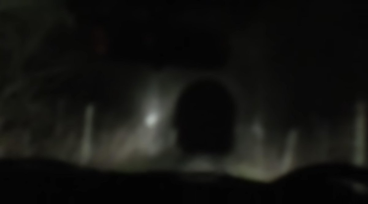 VIRALQUESTVQ tweet media