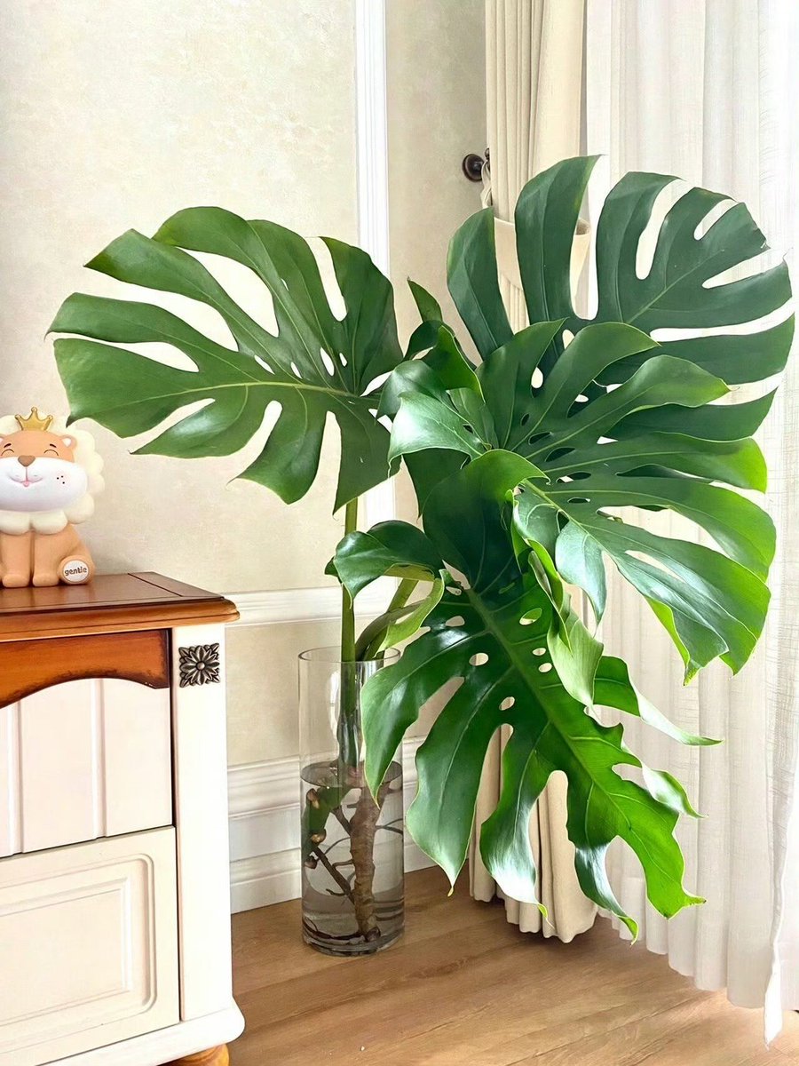 Dan Baker tweet media