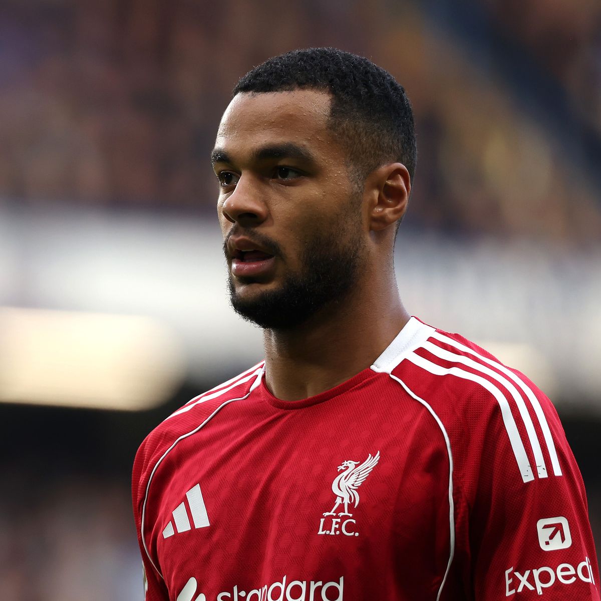 𝒏𝒖𝒈𝒔 tweet media