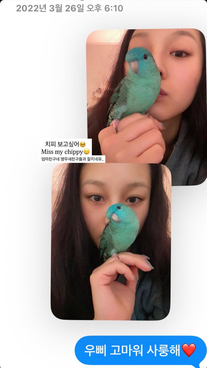 WN11♮ Mukximum ♮ BB0TO19 tweet media