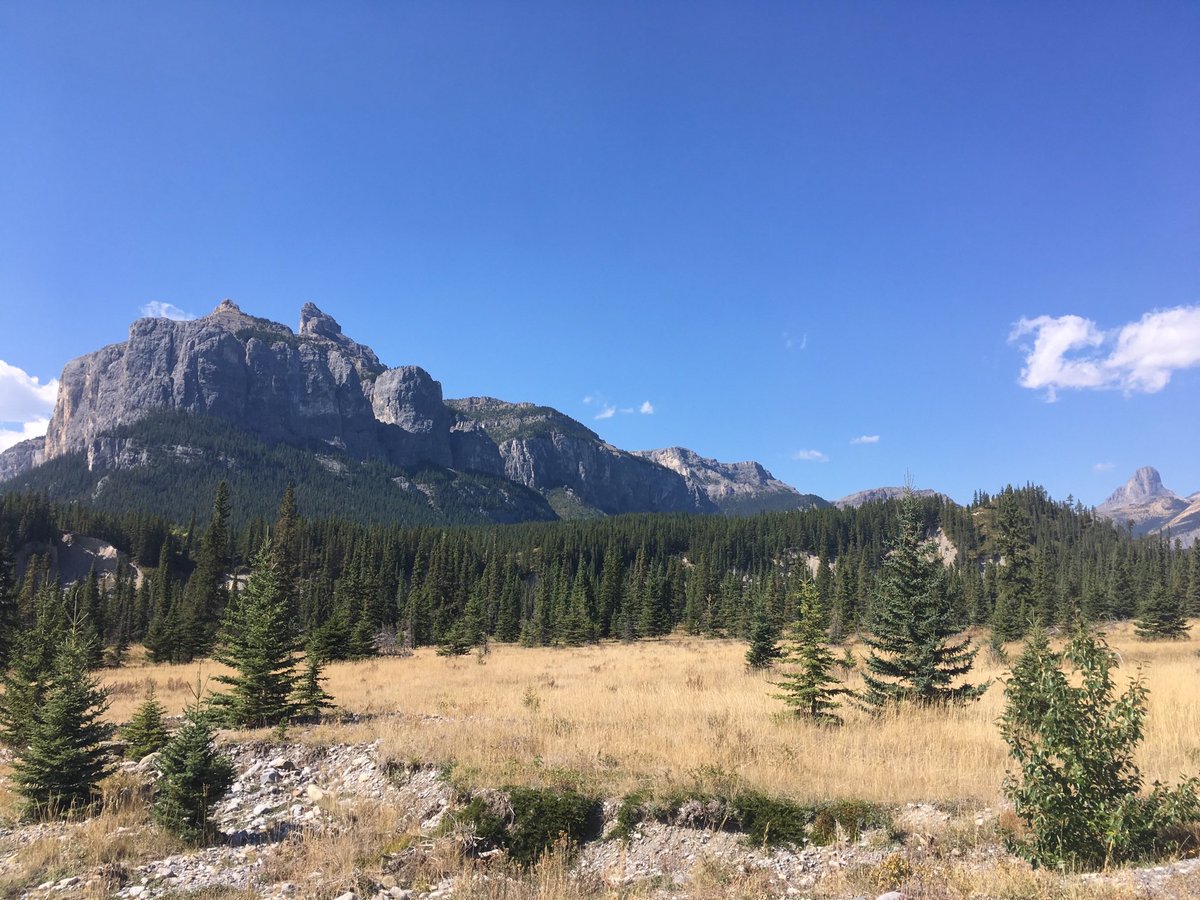 KootenayWanders's tweet photo. Saturdays in the mountains just hit different some days🤙 https://t.co/7qMosxgYpV