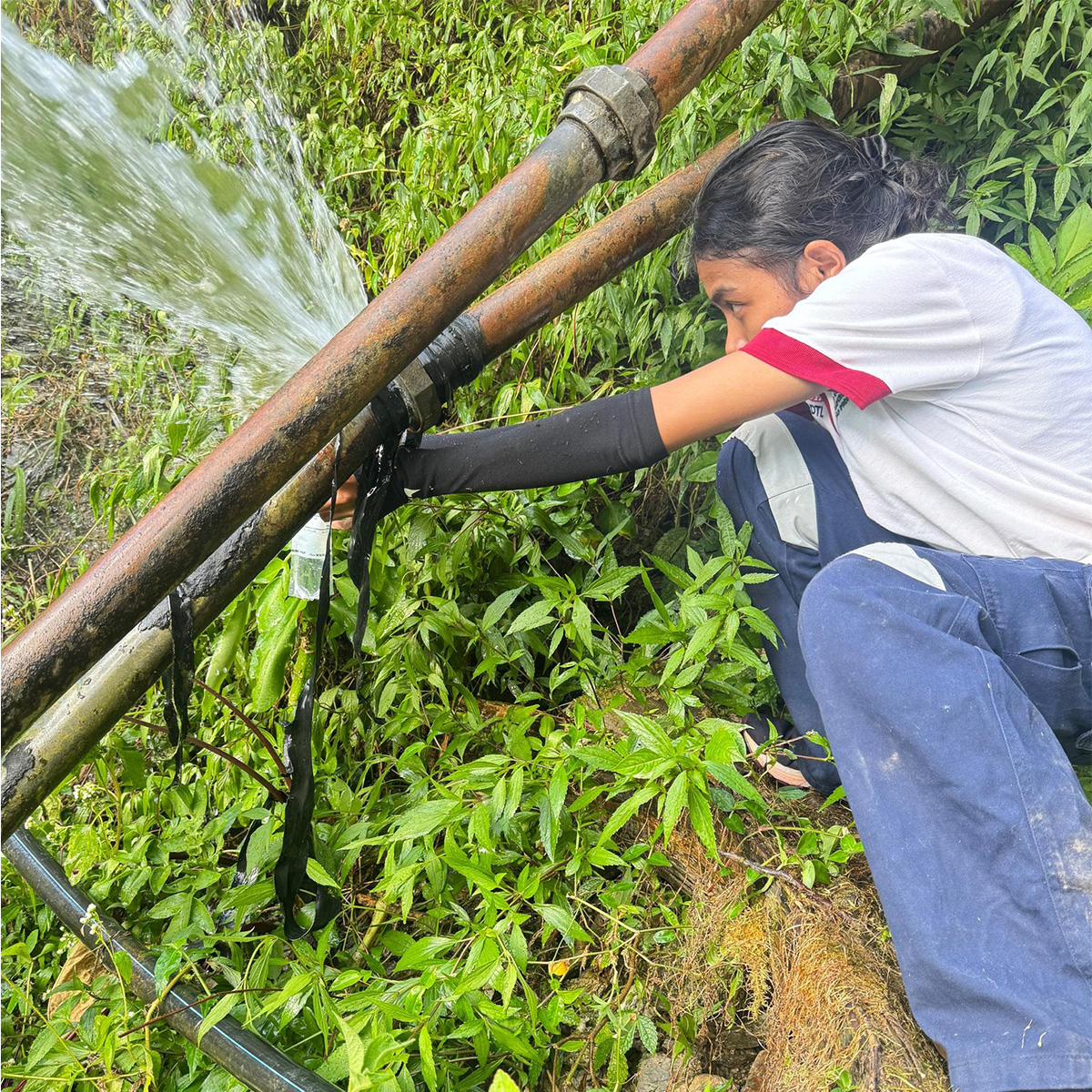 Department of Foreign Affairs and Trade 🇦🇺 tweet media